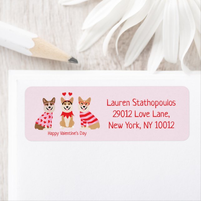 Happy Valentines Day Pembroke Welsh Corgi Dogs (Insitu)