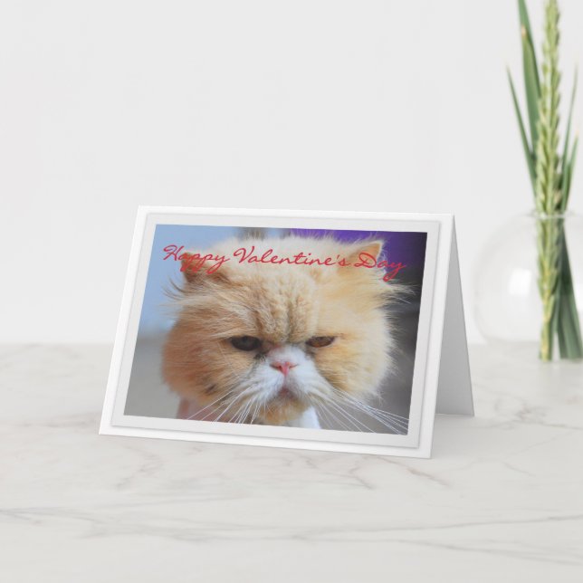 Happy Valentine's Day Persian Cat Humour Holiday Card (Front)