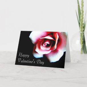 Happy Valentine's Day Pink Rose Greeting Card