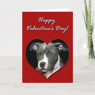 Happy Valentines Day Pitbull puppy Card