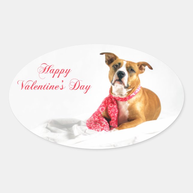 Happy Valentine's Day Pitbull Puppy Oval Sticker (Front)