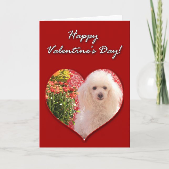 Happy Valentine's Day Poodle Card (Front)