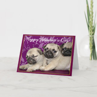 Happy Valentine's Day Pug puppies greeting card