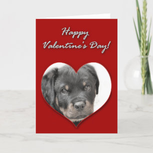Happy Valentine's Day Rottweiler Card