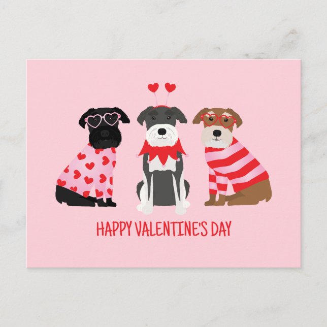 Happy Valentines Day Schnauzer Dogs Holiday Postcard (Front)