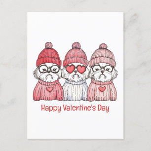 Happy Valentines Day Shih Tzu Dogs Postcard
