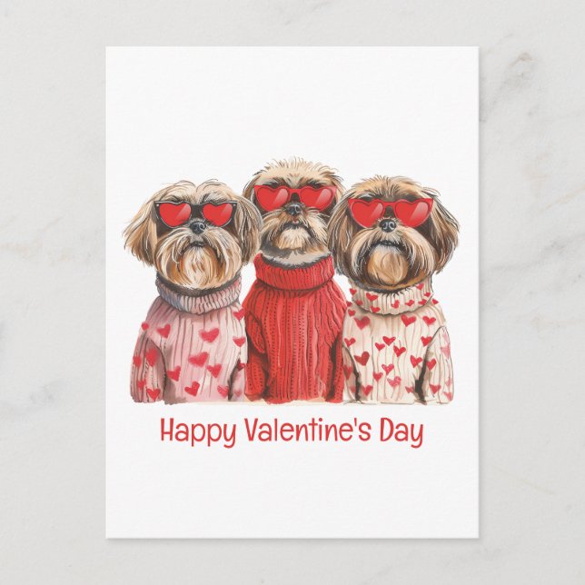 Happy Valentines Day Shih Tzu Dogs Postcard (Front)