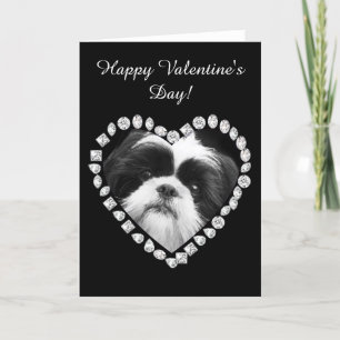 Happy Valentine's Day Shih Tzu greeting card