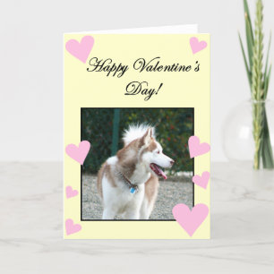 Happy Valentine's Day Siberian Husky Greeting Card