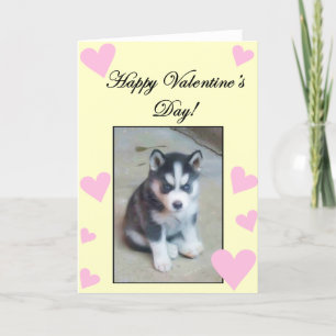 Happy Valentine's Day Siberian Husky Puppy card