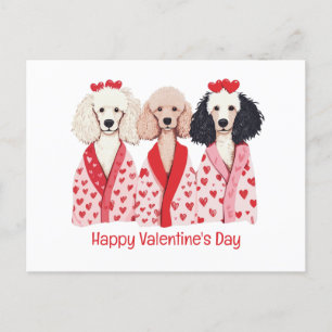 Happy Valentines Day Standard Poodle Dogs Holiday Postcard
