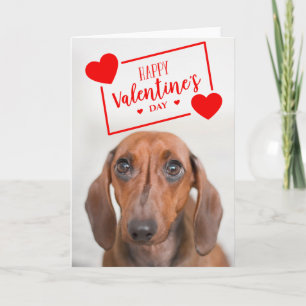 Happy Valentine's Day   Sweet Dachshund Puppy Card