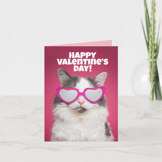 Happy Valentine's Day to Anyone Funny Cat Humour Card (Front)