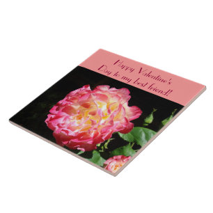 Happy Valentine's Day to my best friend Tiles Rose