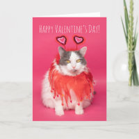 Happy Valentine's Day Warm and Fuzzy Cat