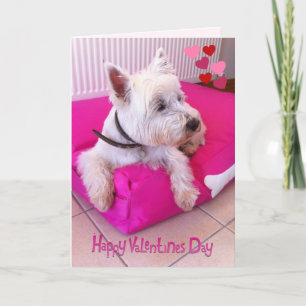 Happy Valentine's Day Westie Card