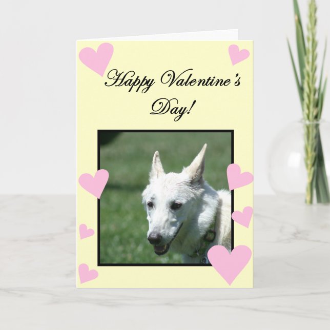 Happy Valentine's Day White German Shepherd card (Front)