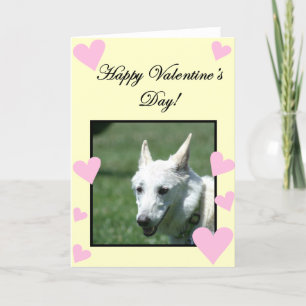 Happy Valentine's Day White German Shepherd card