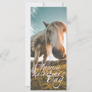 Happy Valentine's day with looking Horse