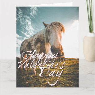 Happy Valentine's day with looking Horse Card