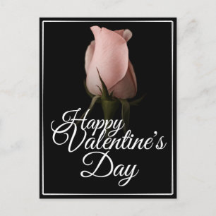 Happy Valentine's Day with pink rose Holiday Postcard