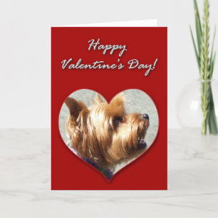 Happy Valentine's Day Yorkshire Terrier Card