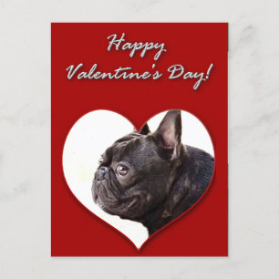 Happy Valentine's French Bulldog postcard
