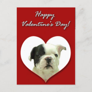 Happy Valentine's French Bulldog puppy postcard