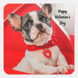 Happy Valentine's French Bulldog Sticker