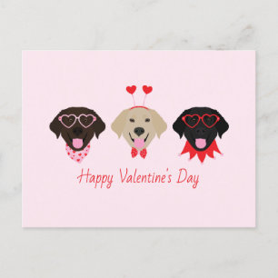 Happy Valentines Labrador Retriever Dogs Holiday Postcard