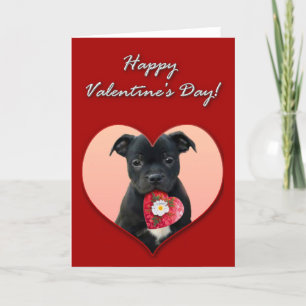 Happy Valentine's Staffordshire Bull Terrier  Card