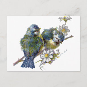 Happy Vintage Birds Postcard