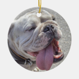 Happy White Bulldog Ceramic Tree Decoration