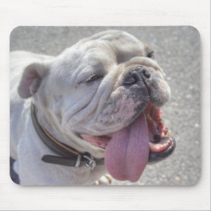 Happy White Bulldog Mouse Mat