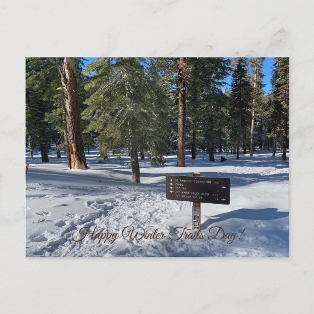Happy Winter Trails Day! Postcard (Front)