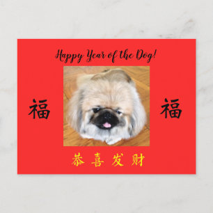 Happy Year of the Dog Pekingese CNY postcard