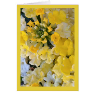 Happy Yellow Blooms- Song of Sol. 6:1 Greet. Card