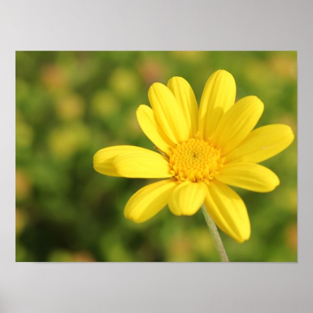 Happy Yellow Flower A3 Poster (Front)