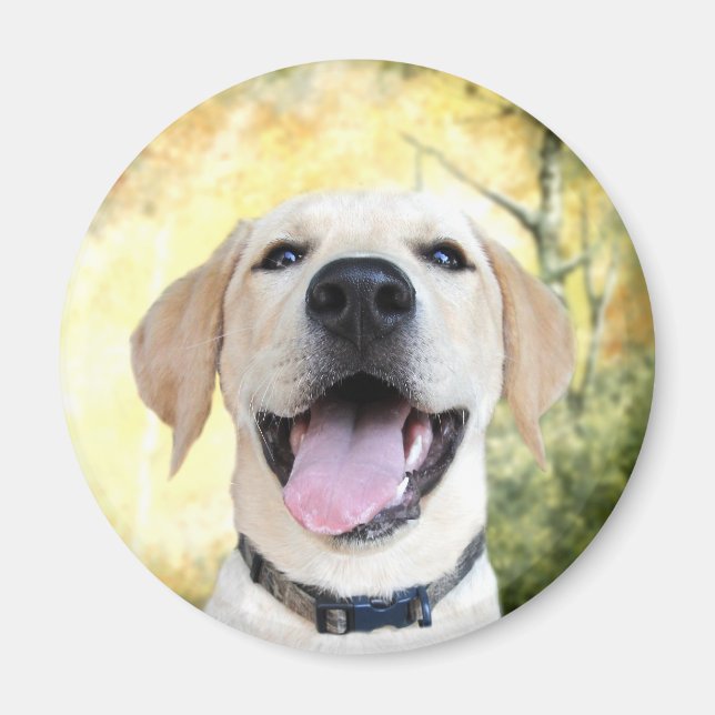 Happy Yellow Lab Magnet (Front)