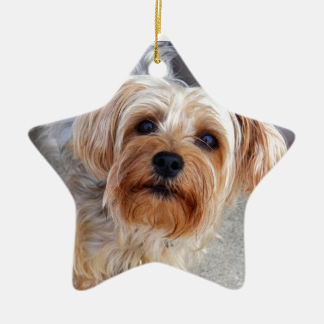 Happy Yorkie Puppy Ceramic Tree Decoration (Front)
