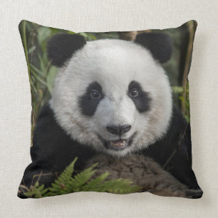 Happy young panda, China Cushion