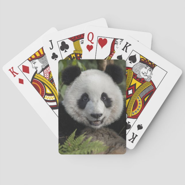 Happy young panda, China Playing Cards (Back)