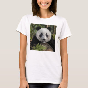 Happy young panda, China T-Shirt