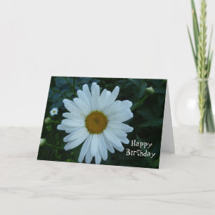 HappyBirthday-Daisy Card