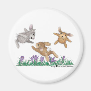 HappyHoppers® Magnets