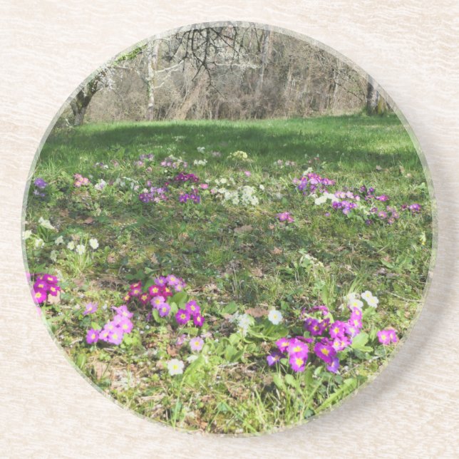 Harbinger of Spring  Coaster (Front)