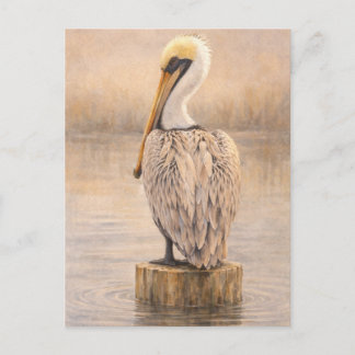 Harbor Pelican | Coastal Wildlife Art | Postcard