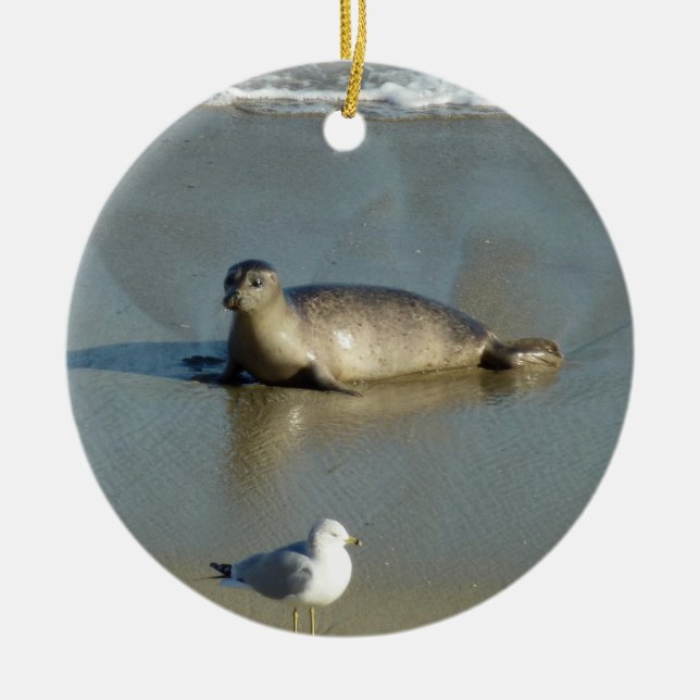 Harbor Seal at La Jolla California Ceramic Tree Decoration (Front)