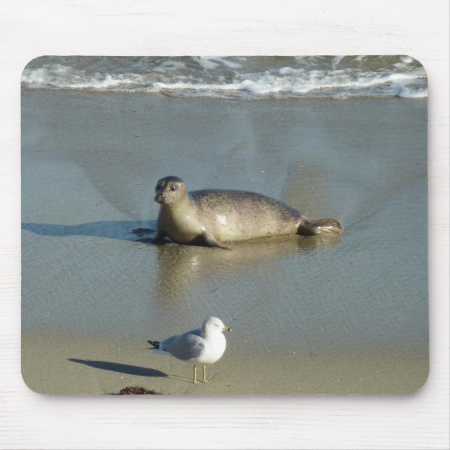 Harbor Seal at La Jolla California Mouse Mat (Front)