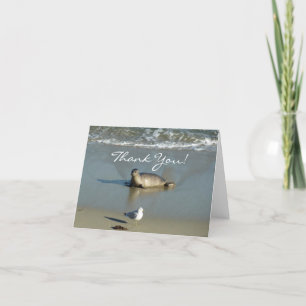 Harbor Seal at La Jolla California Thank You Card